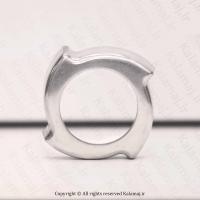 سرپیچ گلویی چرخگوشت پارس خزر 