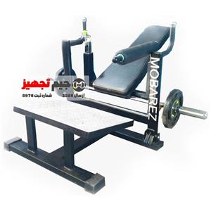دستگاه پل باسن مبارز