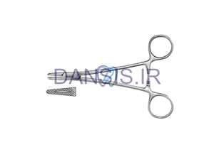 سوزن گیر - کوشا