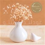 ست گلدان و پرنده سرامیکی (دوتکه)