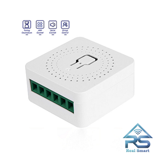 رله 2 کانال تویا 16 آمپر