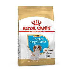 غذای خشک سگ رویال کنین مدل cavalier king charles adult وزن 1.5 کیلوگرم