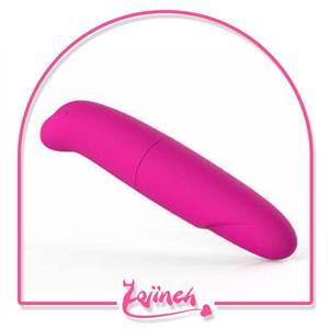 ماساژور ویبراتور دلفینی Dolphin Vibrator 