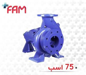 پمپ پمپیران EN100-200