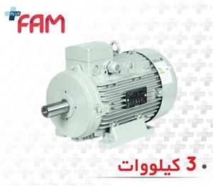 الکتروموتور الکتروژن سه فاز 3 کیلووات 3000 دور