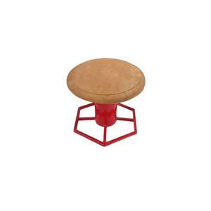 قارچ ژیمناستیک پایه چندضلعی