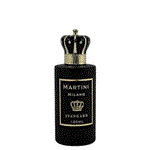 عطر ادکلن مردانه مارتینی میلانو آوانگارد Avangard MARTINI Milano