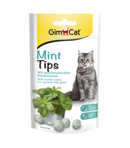 اسنک تشویقی توپی گربه جیم کت با طعم نعنا حاوی نیپ 40 گرم Gimcat Soft Snack With Mint And Catnip 