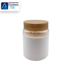 پودر آلومینیوم اکسید میکرودرم ابریژن یک کیلویی