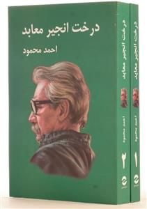 کتاب درخت انجیر معابد اثر احمد محمود - دو جلدی 