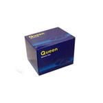 لنت ترمز عقب فوتون تونلند دیزل یورو 5 کویین – QUEEN