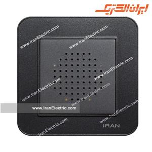 زنگ دینگ دانگ ارس زغال سنگی