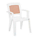 صندلی دسته دار پرستیژ نظری ۵۰۷ کد ۳۰۰۰۰۲۳