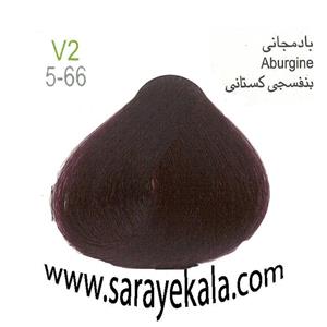 رنگ مو آرکیا بادمجانی V2 به شماره5.66در حجم 100 میل به قیمت عمده