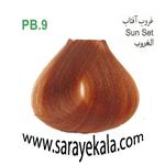 رنگ مو ترکیبی آرکیا غروب آفتاب PB9 در حجم 100 میل به قیمت عمده