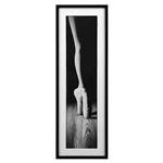 تابلو مدرن بالرین (LEGS ON POINTE) کد GW-99101-A-WH/BL لوتوس