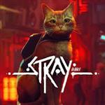 بازی Stray اکانت قانونی