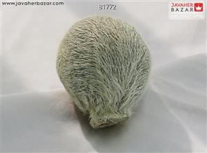 مشک آهو سفید