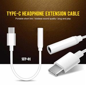 تبدیل USB-C به صدا SFP-01T