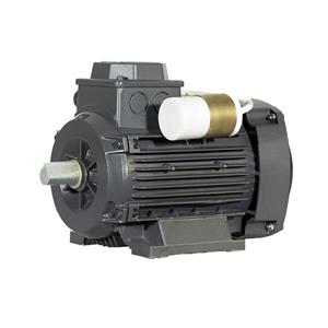 الکتروموتور تکفاز 2 اسب موتوژن MOTOGEN رله ایی