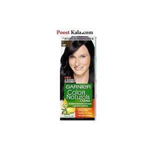 کیت رنگ مو گارنیه شماره Color Naturals Shade 1
