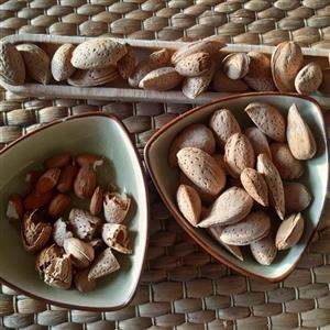 بادام سنگی درجه یک فله ای