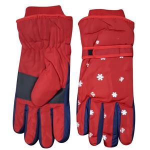 دستکش مدل برف بازی کد 458