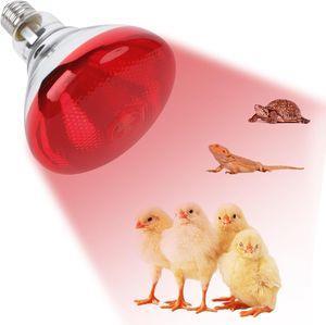 لامپ مادون قرمز 100 وات لاکی هرپ مدل INFRARED-220V-100W-E27