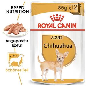 غذا مرطوب سگ بزرگسال و مسن رویال کنین آلمان Royal Canin Chihuahua Adult 12x85g