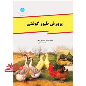پرورش طیور گوشتی