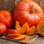 Cucurbita maxima  بذر کدو تنبل حلوایی شیرین