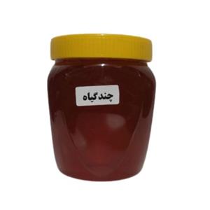عسل طبیعی استاندارد 500 گرمی
