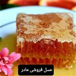 عسل طبیعی سبلان 500گرم عسل  مادر