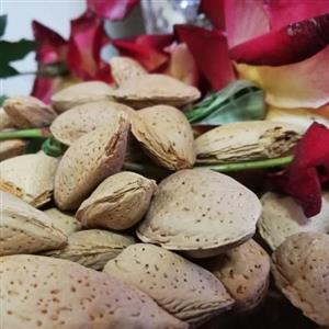 بادام سنگی ویژه (سایز درشت)(1000گرمی)()