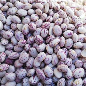 لوبیا چیتی اعلا 2000 گرمی درشت و اعلا ()