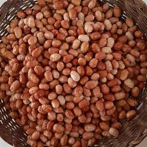 سنجد بومی درشت کاملا تازه و نرم 1000 گرمی