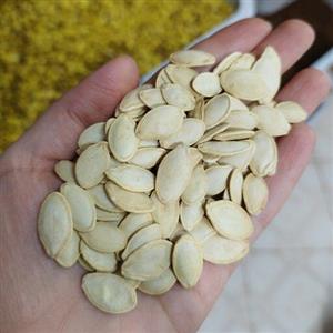 تخمه کدو سفید گوشتی (یک کیلو)