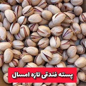 پسته فندقی امسالی وتازه
