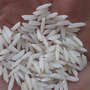 برنج طارم زرین دابو دشت بسیار خوش پخت،معطر و طعم عالی