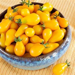 بذر گوجه فرنگی گلابی خوشه ای زرد بسته 10 عددی 