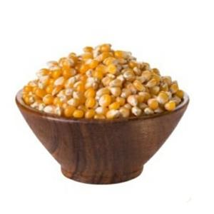 ذرت پاپ کورن ممتاز فدک (600گرم)