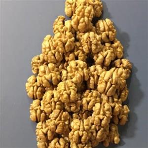 مغز گردوتویسرکان دستچین250 گرم (نوبرانه 1401)