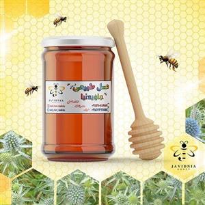 عسل طبیعی زول منطقه کردستان 900 گرمی
