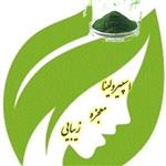 پودر جلبک اسپیرولینا ( اسپرولینا ) (بسته 60 گرمی) گرید انسانی