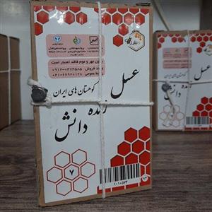 عسل 7 ستاره دانش