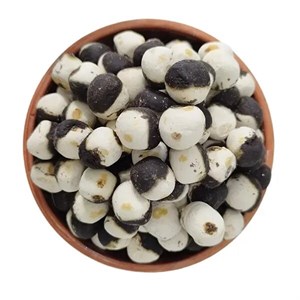 کشک قره قروتی تنقلاتی (300گرمی) دارای سیب سلامت