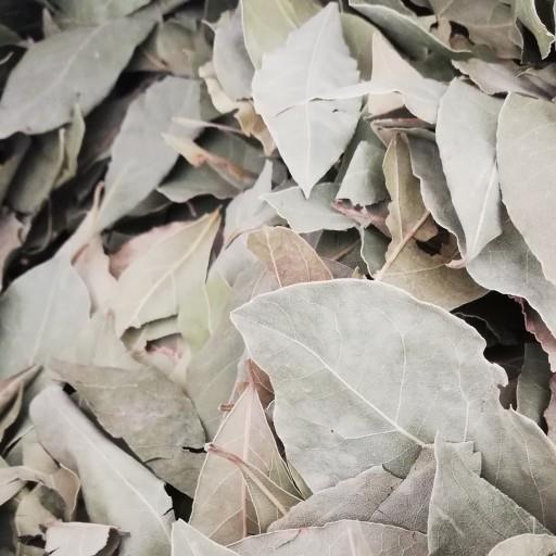 برگ بو فله ای