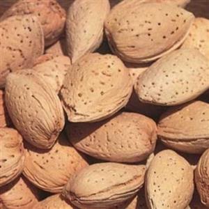 بادام سنگی  باغی آبخورده امسال (یک کیلویی)