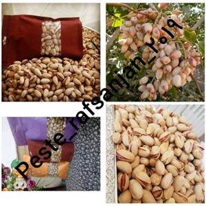 پسته امسالی و تازه شور ساده (500گرمی)