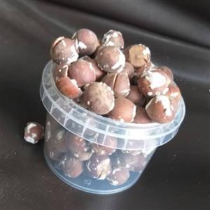 فندق محلی لوکس درجه یک14001